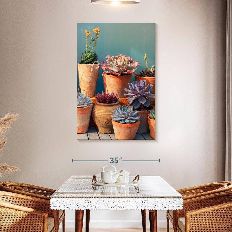 Plante grasse Harnek sur table, H 48 po x l 32 po