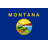 Montana State