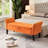 Velvet Upholstered Storage Bench-1557076950