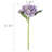 Hydrangea Stem-1158631078