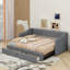 Lit de jour rembourré simple TG avec très grand lit avec tiroirs-79084131