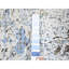 Tapis bleu noué à la main de conception unique 8 pi x 10 pi 4 po Corentin