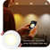 3" Ultra Slim Tunable CCT Remodel LED Canless Recessed Lighting Kit