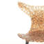 Innovative Chair – Fluid Design With Lighting Reflections And Bold Color Options