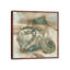 John Seba - Print on Canvas-49993610-101336168