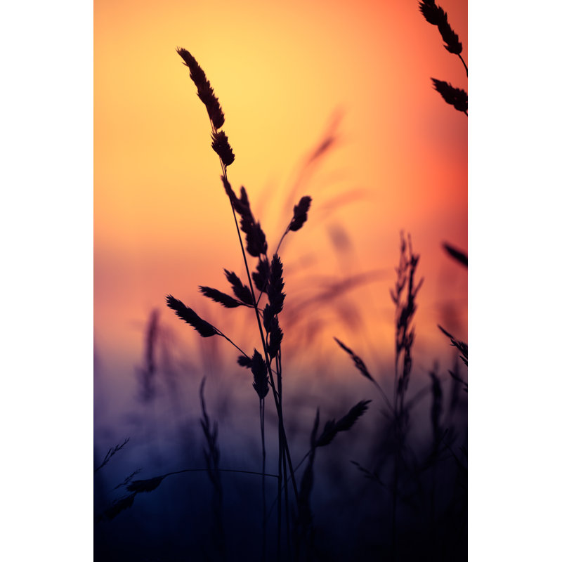 Silhouette of Wildflowers 1 Piece Wrapped Canvas Wall Art, 76cm H x 51cm W x 3.8cm D