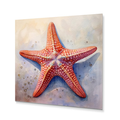 Étoile de mer Spinny III