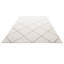 Tapis d'intérieur moelleux, tapis moelleux de 8 pi x 10 pi, tapis à poils longs avec poils longs, épais et durables