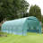 9.8' W x 19.7' D Greenhouse