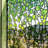 Plants & Flowers Non-Wall Damaging Window Decal-658779567