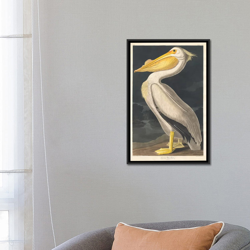 « american pelican », reproduction sur toile, H 26 po x l 18 po x P 1,5 po, Toile avec cadre noir, Pas de tapis