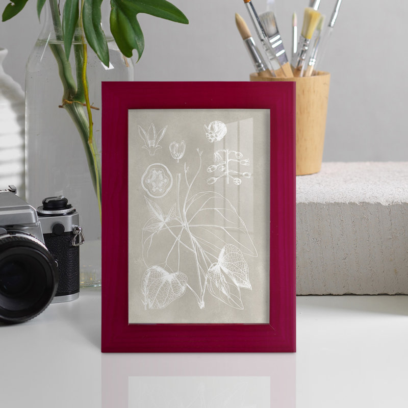 Schéma botanique II - impression encadrée avec verre, Rouge, H 6 po x l 4 po x P 1 po