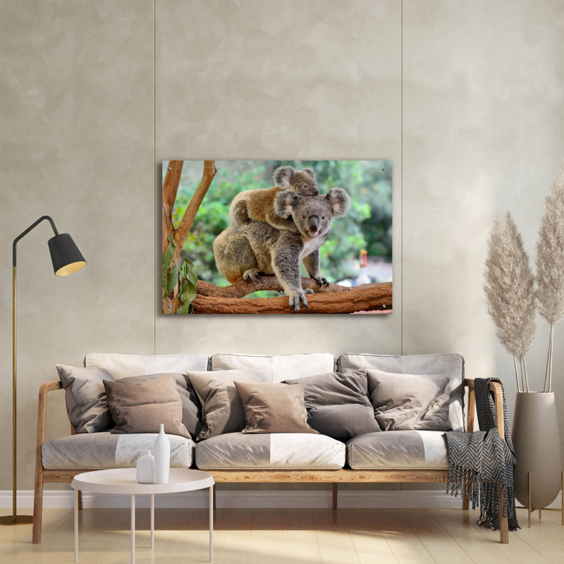«Koala» par Epic Portfolio, art mural en verre acrylique, H 24 po x l 36 po x P 0,2 po