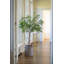 Max classique L, taupe