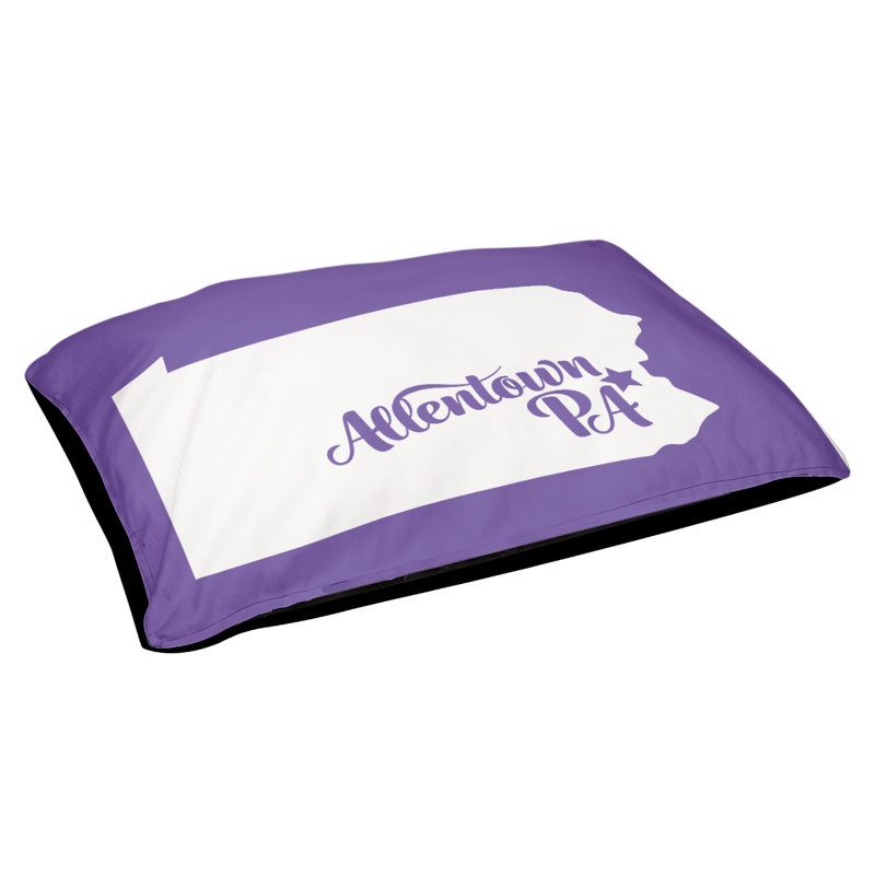 Coussin stylisé allentown de pennsylvanie, Petit (L 18 po x l 28 po), Mauve