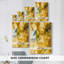 Blazing Rays I -Gallery Wraraped Cavas-1638760254