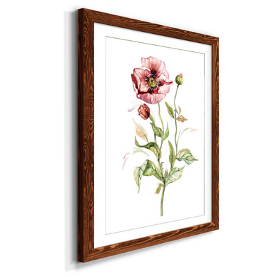 Coquelicot sauvage - reproduction de photo encadrée sur papier