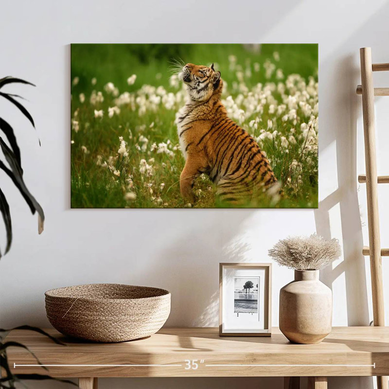 Brampt Tiger Cub, 30" H x 45" W