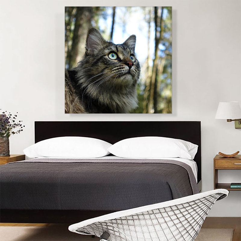 Gris gris, forêt norvégienne, décoration de maison sur toile tendue, H 36 po x l 36 po x 1,5 po