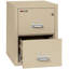 Fireproof 2 - Drawer File Cabinet-218167