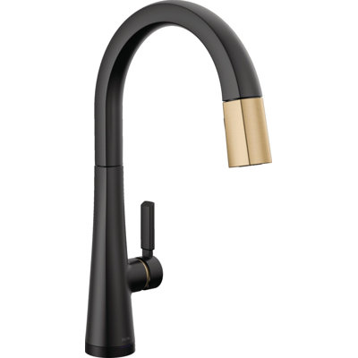 Touch2O Technology Kitchen Faucet with Touchless Technology