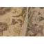 Tapis brun clair / brun en laine noué à la main de style oriental Baccio 8 pi 10 po x 11 pi 9 po