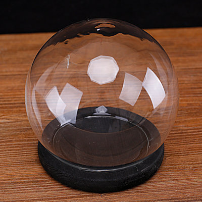Terrarium Cloche with Wood Base