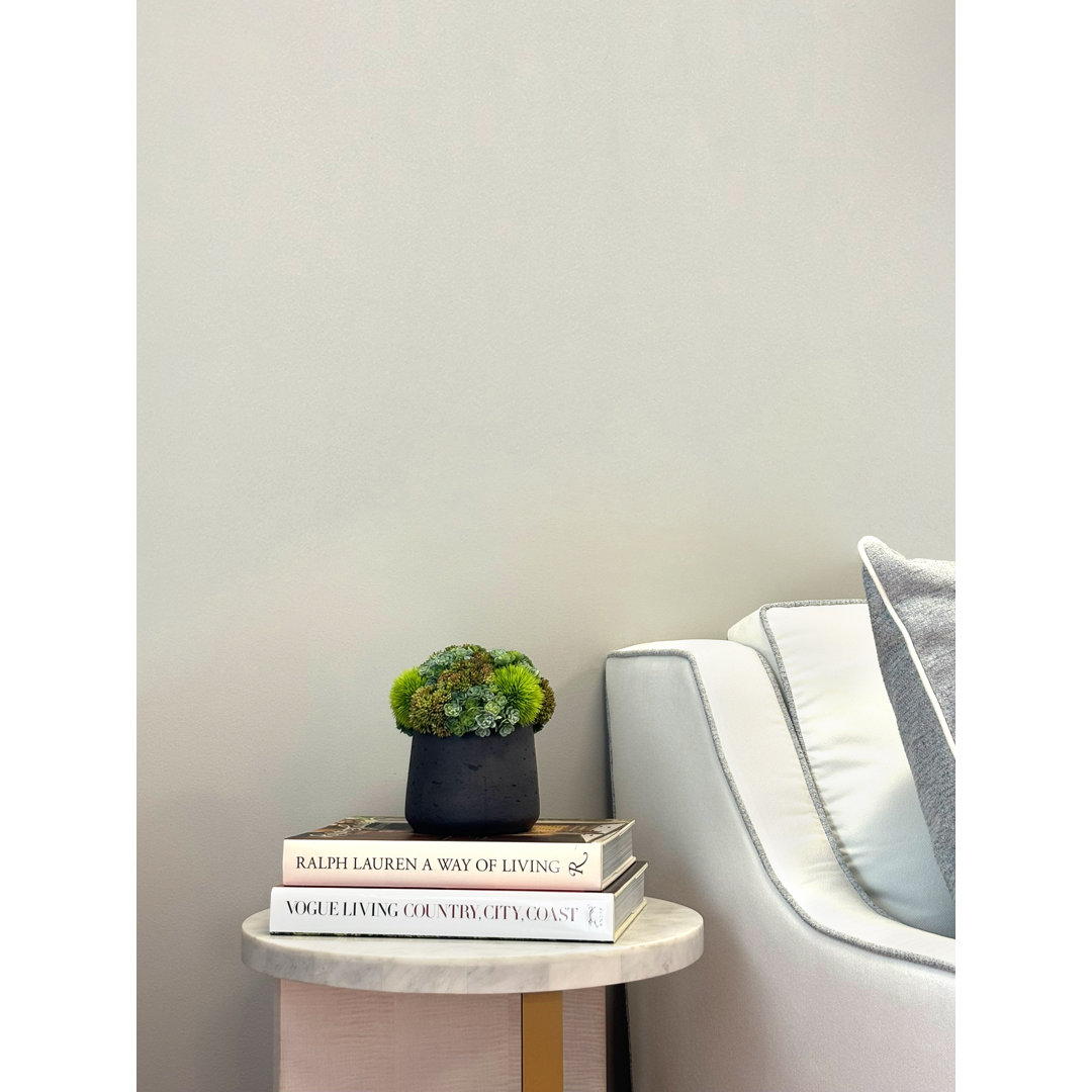 Rizal 7'' Faux Succulent Plant in Fiberstone Pot Primrue Base 