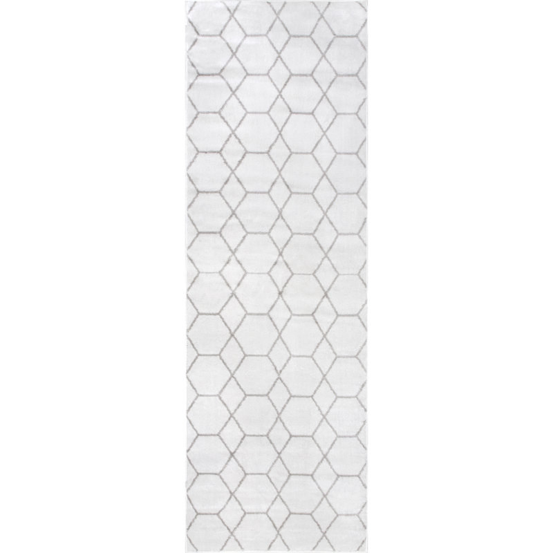 Asya Geometric Area Rug for Living Room Bedroom Dining Room Kitchen, Runner 2'8" x 8'