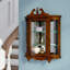 Curio Cabinet-1787793791
