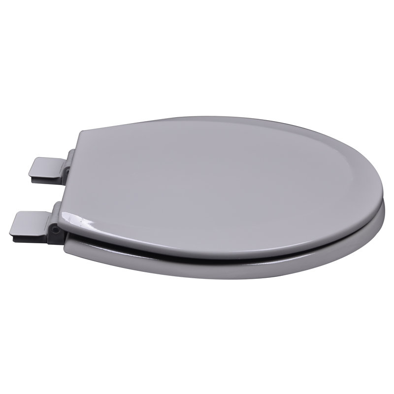 Round Toilet Seat and Lid, Silver/Gray