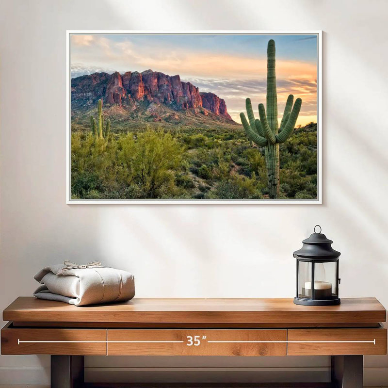 Cactus View II, 25 po x 17 po, Cadre flottant blanc