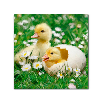 Armand 'Easter Chicks' Print on Canvas