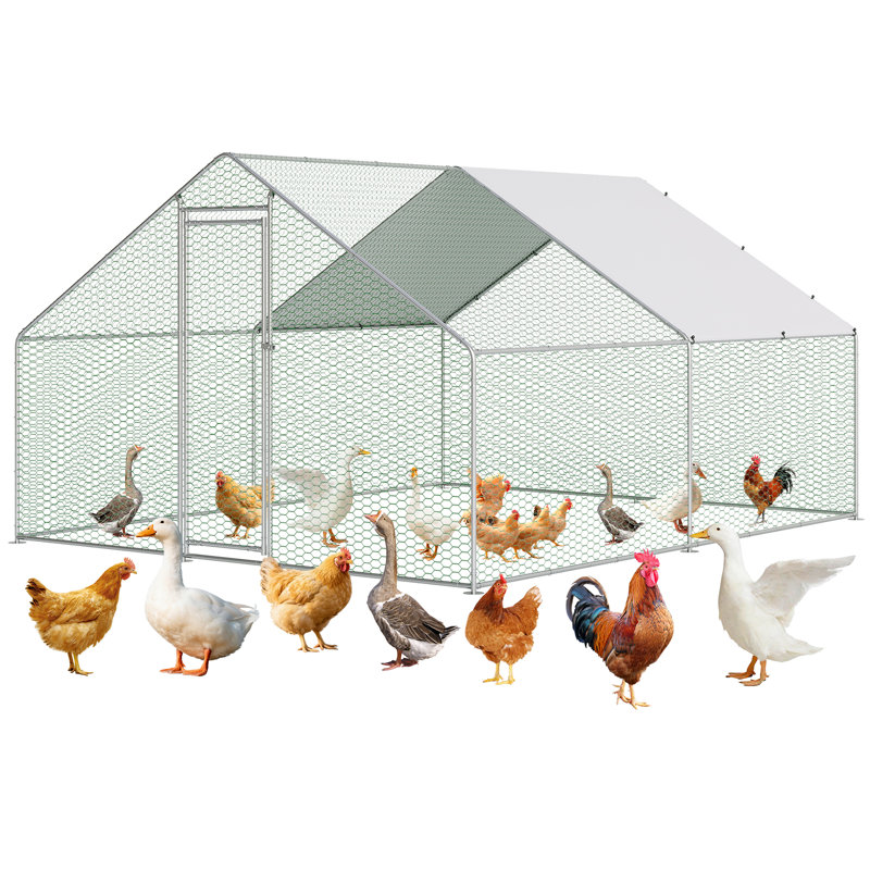 Chicken Coop, 9.8*13.1*6.6 feet