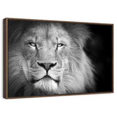 Lion Portrait