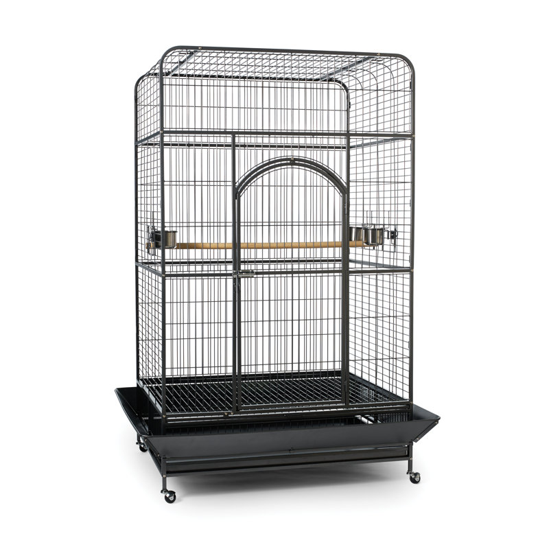 Cage à ara Briceno avec roulette
