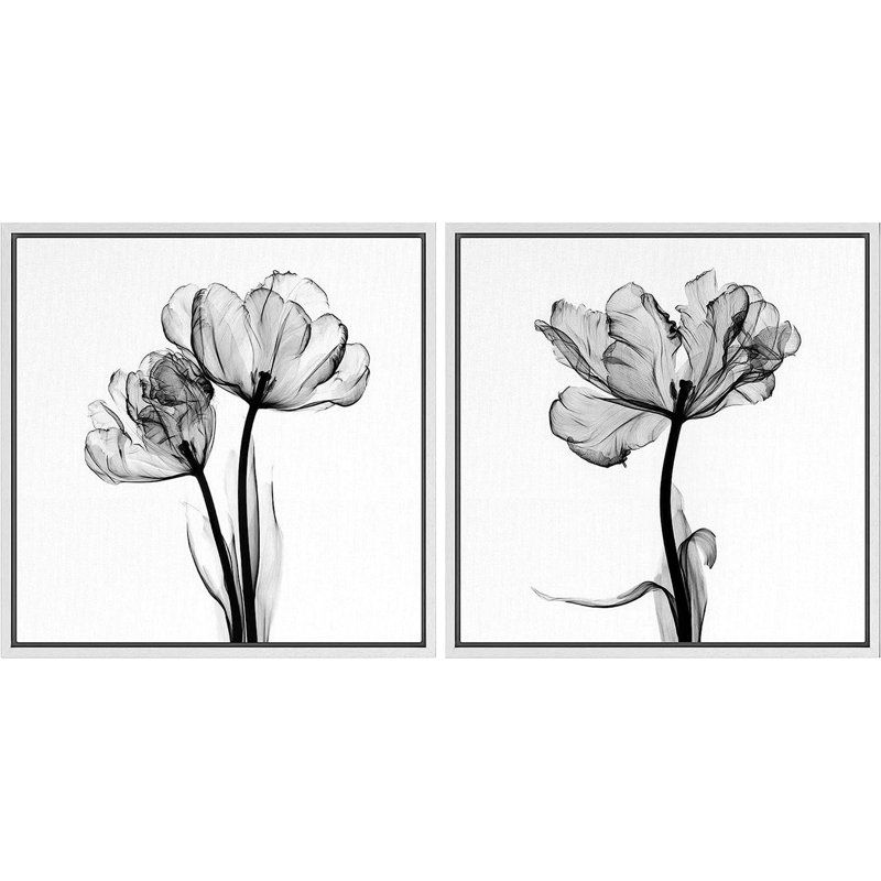«Minimal Botanical Detailled X-Ray Tulip», reproduction sur toile 2 pièces, H 24 po x l 48 po x P 1,5 po