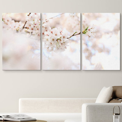 Blanc et rose en fleurs, fleurs de cerisier, nature, photographie, réalisme, contemporain