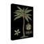 « palm on black i », reproduction de peinture à l’acrylique sur toile tendue-33523108
