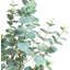 Faux arbre eucalyptus 35,43 po dans un vase décoratif