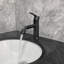 Robinet de lavabo pour salle de bain à poignée simple en acier inoxydable, durable et facile à utiliser avec finition anti-corrosion
