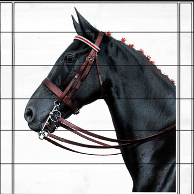 1 Piece Wall Art