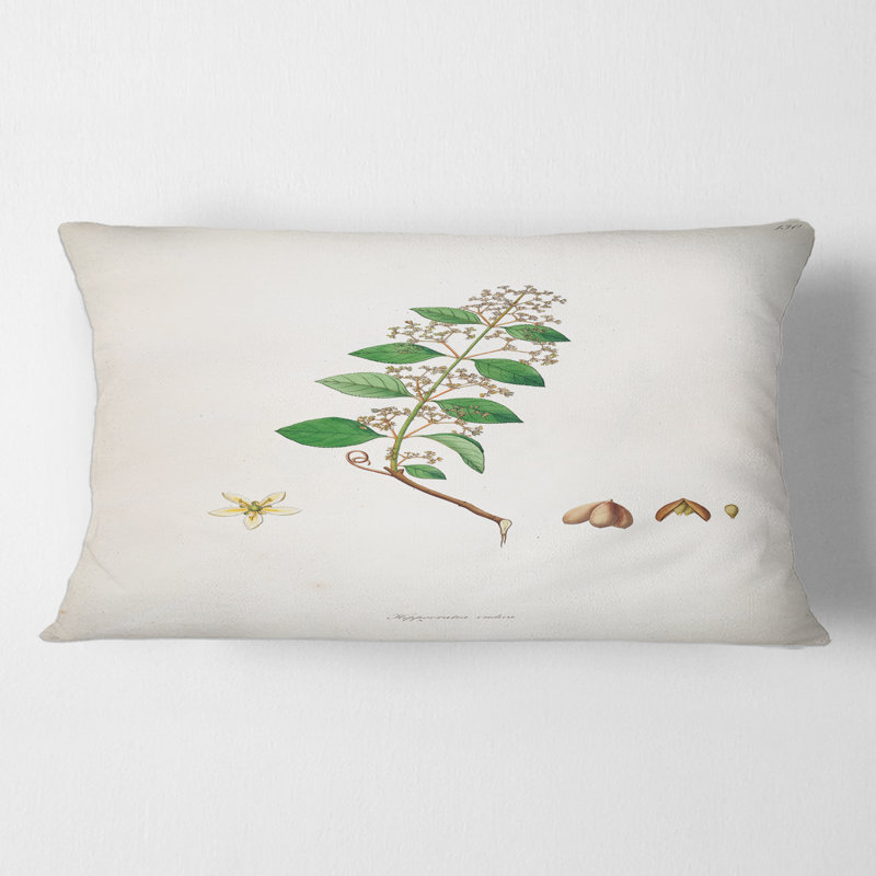 Vintage Botanicals I - Farmhouse Printed Throw Pillow