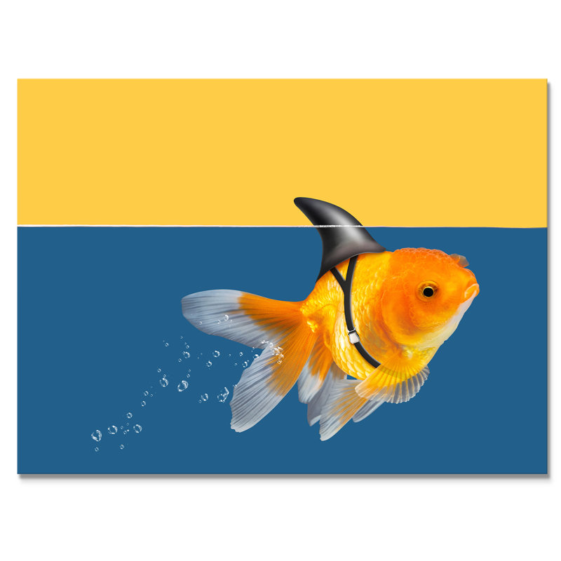 Reproduction de cadre flottant sur toile Goldfish Shark, H 16 po x l 32 po x P 1 po, Toile tendue
