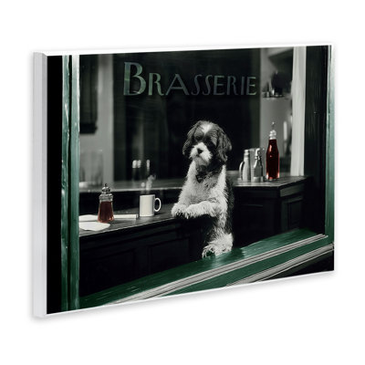Brasserie Vintage Dog in Window Wall Plaque, design by Annabelle Hall