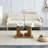 Glass Top Single Coffee Table-97800148