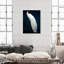Habillé de plumes - impression-119403334-72500299-72500298