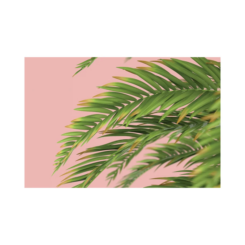 Palm Branch On A Peach Background I by Mike Kiev - Wrapped Canvas Painting, 66.04 cm H x 45.72 cm W x 1.91 cm D