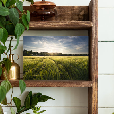 Barley Meadow, paysage abstrait contemporain, art mural