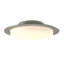 Oceanus 2 - Light 16.5" Semi Flush Mount-1941155070
